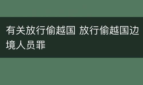 有关放行偷越国 放行偷越国边境人员罪