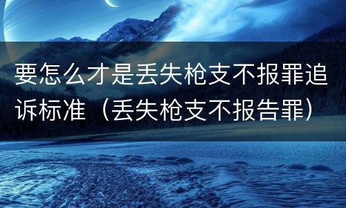 要怎么才是丢失枪支不报罪追诉标准（丢失枪支不报告罪）
