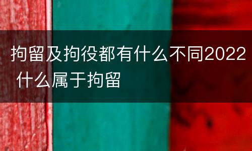 拘留及拘役都有什么不同2022 什么属于拘留
