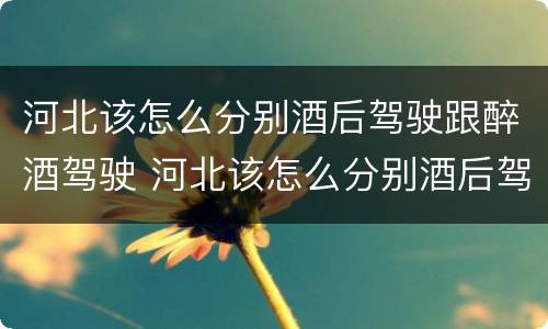 河北该怎么分别酒后驾驶跟醉酒驾驶 河北该怎么分别酒后驾驶跟醉酒驾驶人