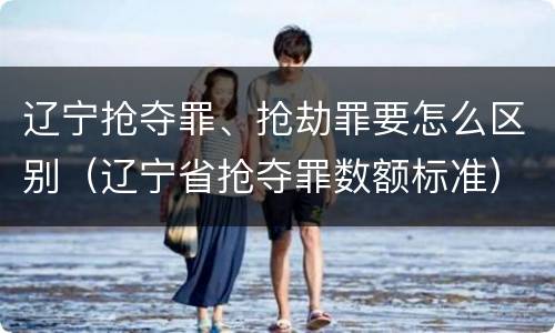 辽宁抢夺罪、抢劫罪要怎么区别（辽宁省抢夺罪数额标准）