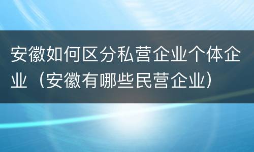 安徽如何区分私营企业个体企业（安徽有哪些民营企业）