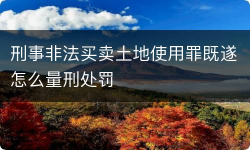 刑事非法买卖土地使用罪既遂怎么量刑处罚
