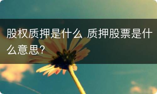 股权质押是什么 质押股票是什么意思?