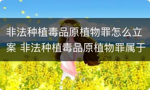 非法种植毒品原植物罪怎么立案 非法种植毒品原植物罪属于什么犯罪类型