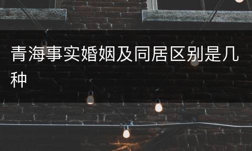 青海事实婚姻及同居区别是几种