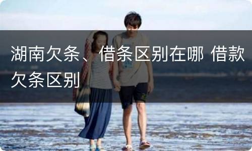 湖南欠条、借条区别在哪 借款欠条区别