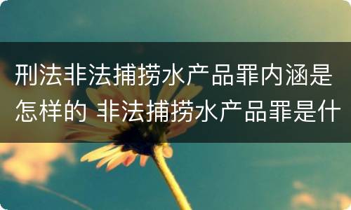 刑法非法捕捞水产品罪内涵是怎样的 非法捕捞水产品罪是什么犯罪类型