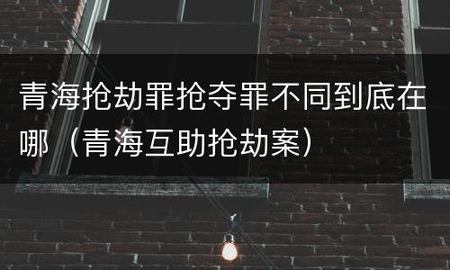 青海抢劫罪抢夺罪不同到底在哪（青海互助抢劫案）