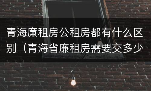 青海廉租房公租房都有什么区别（青海省廉租房需要交多少钱）