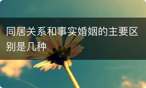 同居关系和事实婚姻的主要区别是几种