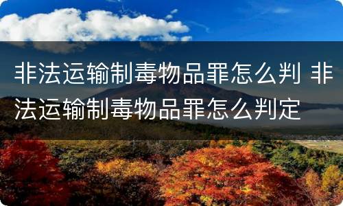 非法运输制毒物品罪怎么判 非法运输制毒物品罪怎么判定