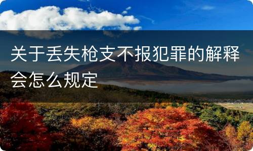 关于丢失枪支不报犯罪的解释会怎么规定