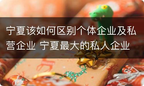 宁夏该如何区别个体企业及私营企业 宁夏最大的私人企业