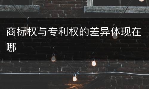 商标权与专利权的差异体现在哪