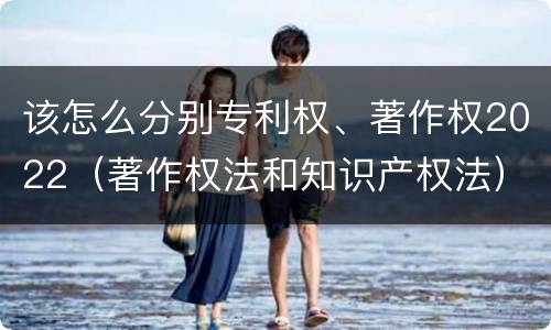 该怎么分别专利权、著作权2022（著作权法和知识产权法）