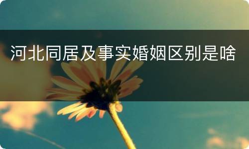 河北同居及事实婚姻区别是啥