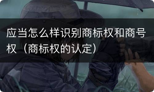 应当怎么样识别商标权和商号权（商标权的认定）