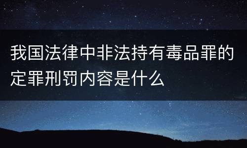 我国法律中非法持有毒品罪的定罪刑罚内容是什么