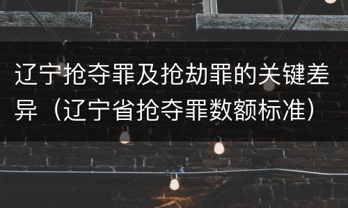 辽宁抢夺罪及抢劫罪的关键差异（辽宁省抢夺罪数额标准）