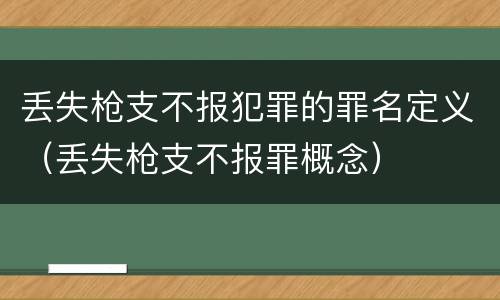 丢失枪支不报犯罪的罪名定义（丢失枪支不报罪概念）