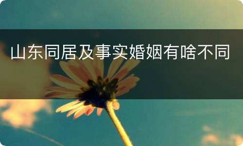 山东同居及事实婚姻有啥不同