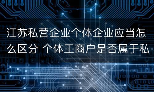江苏私营企业个体企业应当怎么区分 个体工商户是否属于私营企业