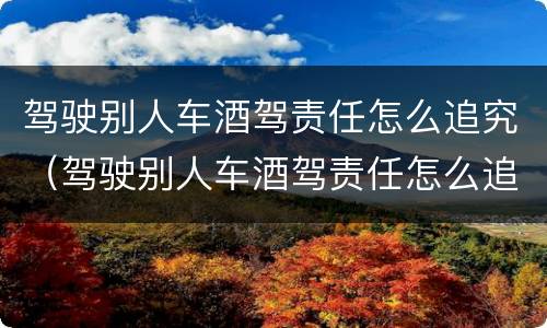 驾驶别人车酒驾责任怎么追究（驾驶别人车酒驾责任怎么追究呢）