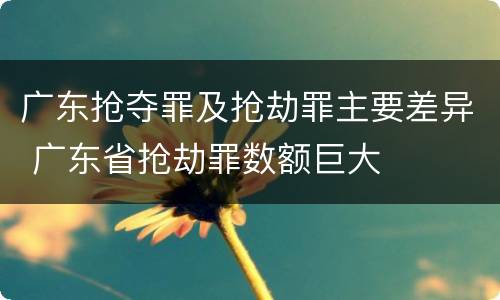 广东抢夺罪及抢劫罪主要差异 广东省抢劫罪数额巨大