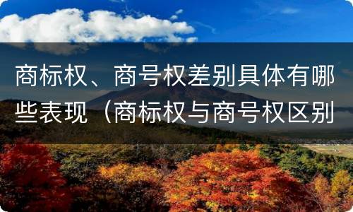 商标权、商号权差别具体有哪些表现（商标权与商号权区别）