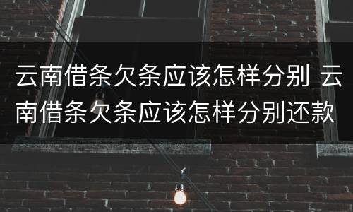 云南借条欠条应该怎样分别 云南借条欠条应该怎样分别还款