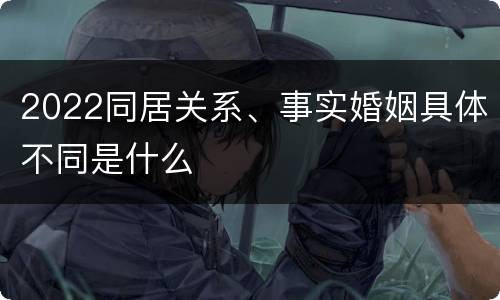 2022同居关系、事实婚姻具体不同是什么