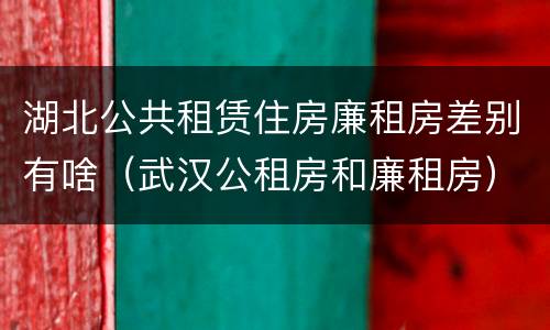 湖北公共租赁住房廉租房差别有啥（武汉公租房和廉租房）