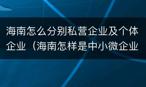 海南怎么分别私营企业及个体企业（海南怎样是中小微企业怎么划分）