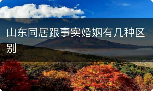山东同居跟事实婚姻有几种区别