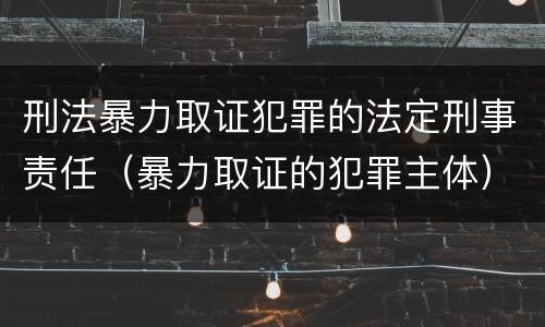 刑法暴力取证犯罪的法定刑事责任（暴力取证的犯罪主体）