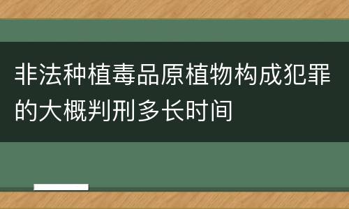 非法种植毒品原植物构成犯罪的大概判刑多长时间