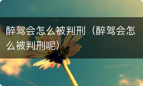 醉驾会怎么被判刑（醉驾会怎么被判刑呢）