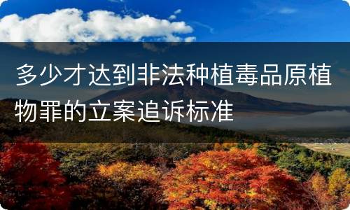 多少才达到非法种植毒品原植物罪的立案追诉标准