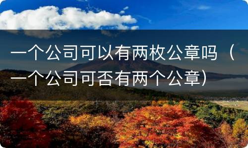 一个公司可以有两枚公章吗（一个公司可否有两个公章）