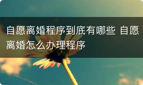 自愿离婚程序到底有哪些 自愿离婚怎么办理程序