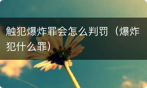 触犯爆炸罪会怎么判罚（爆炸犯什么罪）