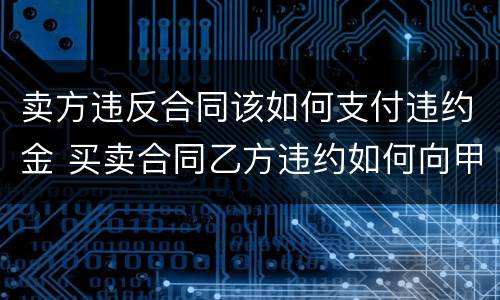 卖方违反合同该如何支付违约金 买卖合同乙方违约如何向甲方支付违约金