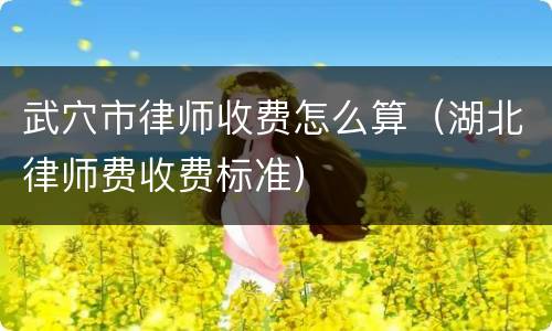 武穴市律师收费怎么算（湖北律师费收费标准）