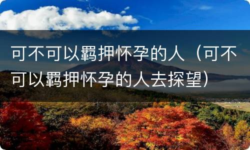 可不可以羁押怀孕的人（可不可以羁押怀孕的人去探望）