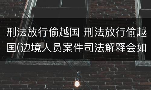 刑法放行偷越国 刑法放行偷越国(边境人员案件司法解释会如何规定