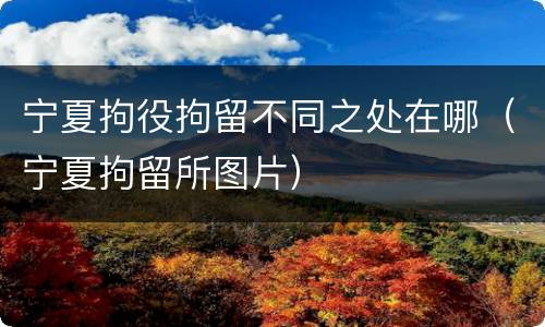 宁夏拘役拘留不同之处在哪（宁夏拘留所图片）