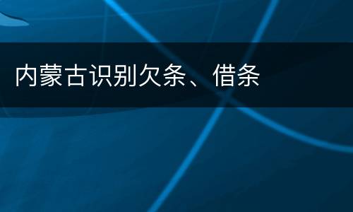 内蒙古识别欠条、借条