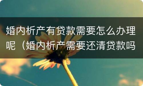 婚内析产有贷款需要怎么办理呢（婚内析产需要还清贷款吗）