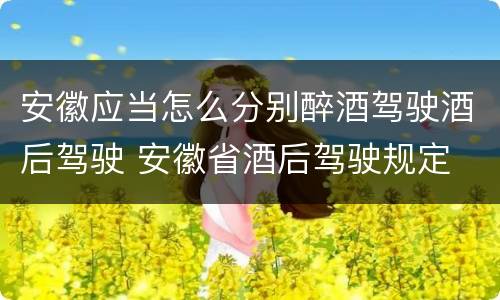 安徽应当怎么分别醉酒驾驶酒后驾驶 安徽省酒后驾驶规定